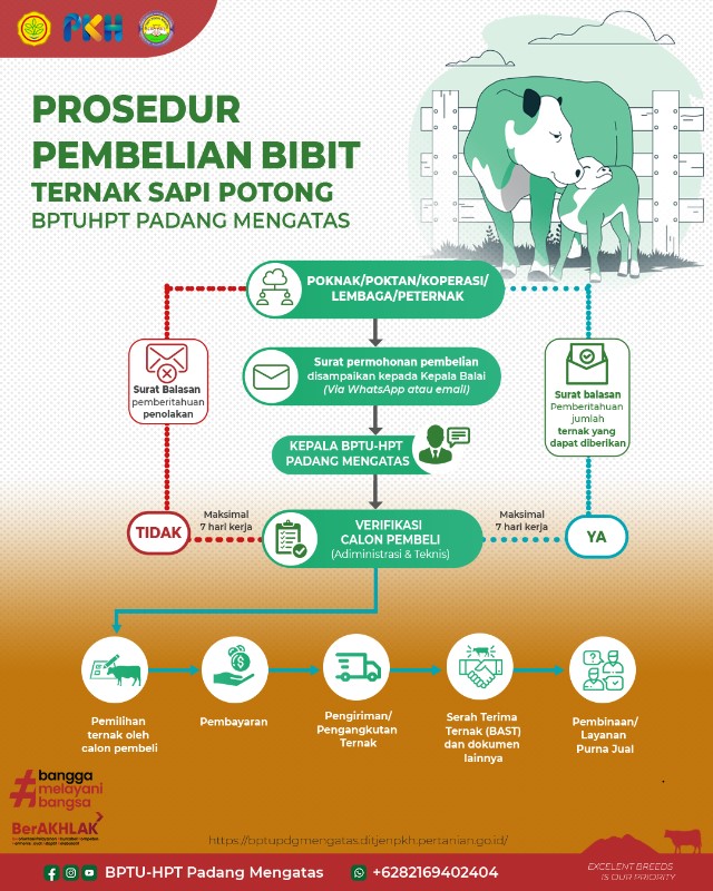 Prosedur Pembelian Bibit Sapi Potong